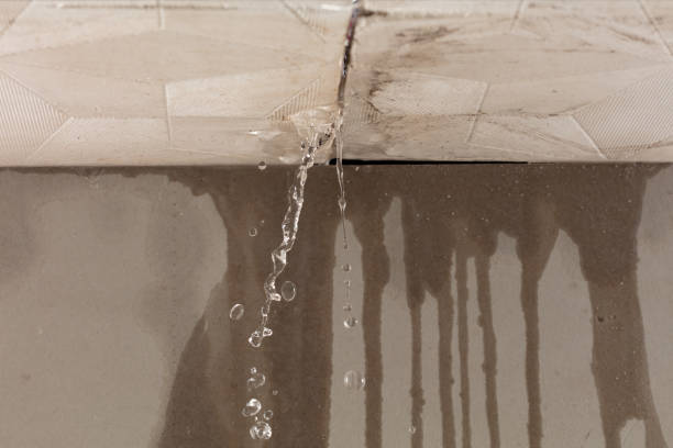 Professional Structural Drying technician working in Whitestone, NY